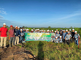                                          Mahasiswa Program Studi Pengelolaan Perkebunan Politeknik Pertanian Negeri Samarinda Praktik Langsung Manajemen Kebun Sawit di Muara Kaman
                                         