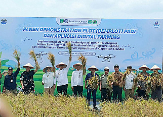                                          Samarinda State Polytechnic of Agriculture Drives Agricultural Innovation; Rice Productivity of GAPOKTAN Mandiri Increases by 44.83%
                                         