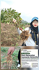                                          Dosen Politani Samarinda Diundang Berkontribusi di Jurnal Bereputasi Internasional Scopus Q1 (Frontiers)
                                         